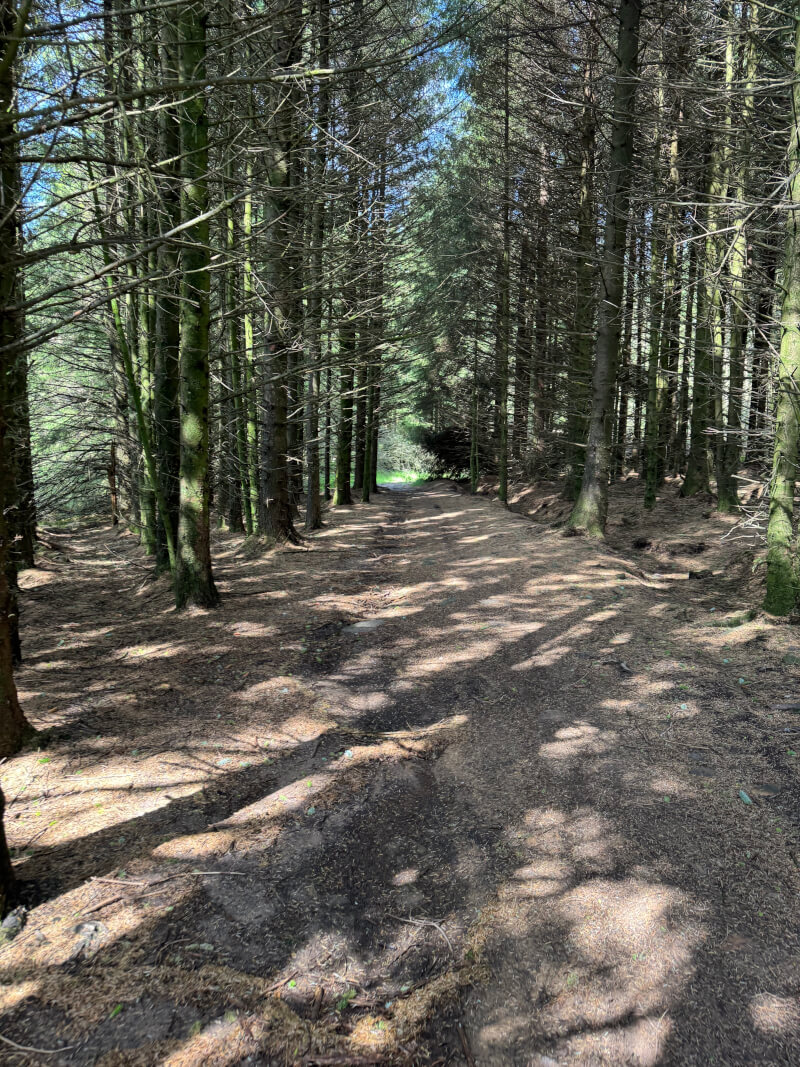 Walking through the woods on the way up to Longridge Fell