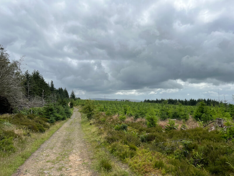 Longridge Fell then Tolkien Trail