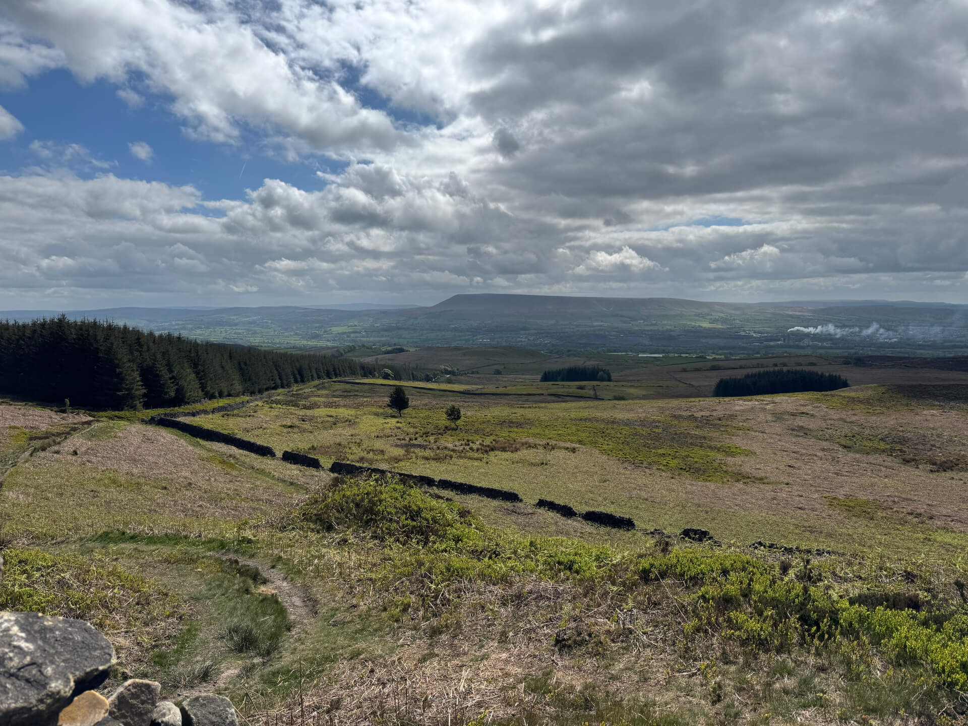 View of Pendle Hill from Easington
